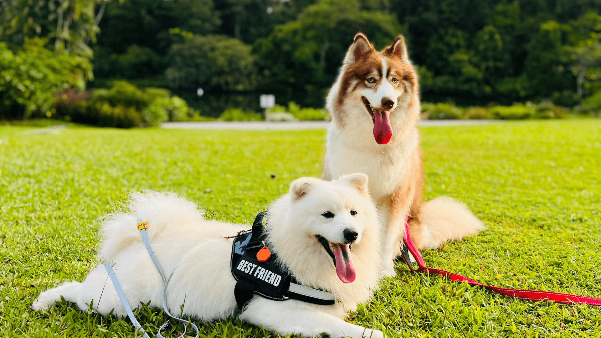6 Wellness Way Latham Ny Phone Number